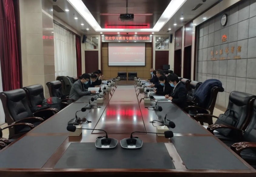 全网担保网集团 温泉集团党委班子召开党史学习教育专题民主生活会
