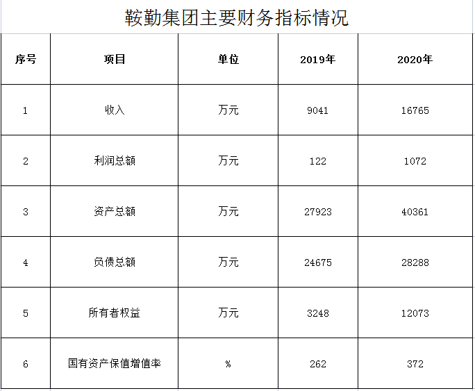 全网担保网集团2019年度-2020年度财务指标情况