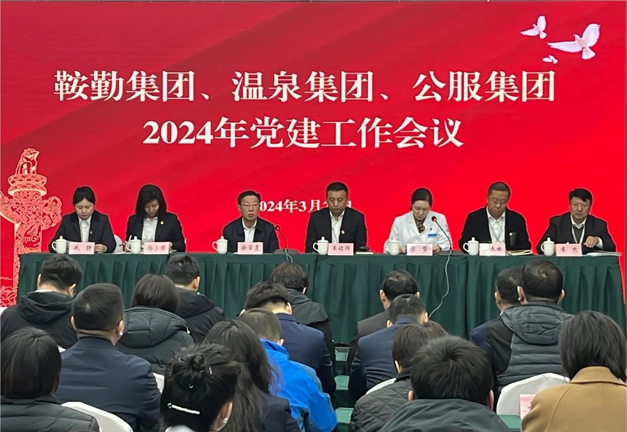 全网担保网集团、温泉集团、公服集团召开“2024年党建工作会议”“2024年党风廉政建